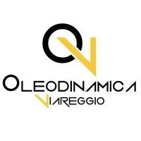 Oleodinamica Viareggio