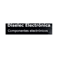 Diselec Electronica S.L.