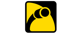 Fleximin